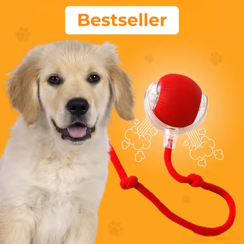 🔥🔥🔥HOT SALE 30% OFF - Interactive Toys Ball Automatic Pet Exercise Toys!