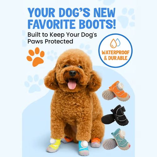 🔥Final 1 Day: 60%OFF🔥 - Comfy Dog Shoes