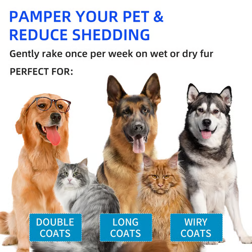 🔥HOT SALE 50% OFF -  🐱Pet Spray Hair Removal Comb🐶