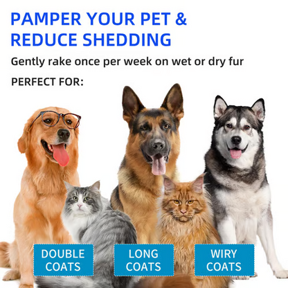 🔥HOT SALE 50% OFF -  🐱Pet Spray Hair Removal Comb🐶