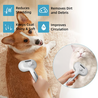 🔥HOT SALE 50% OFF -  🐱Pet Spray Hair Removal Comb🐶