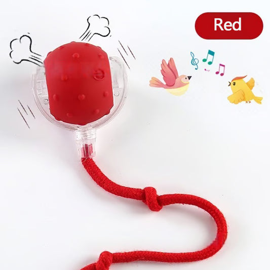 🔥🔥🔥HOT SALE 30% OFF - Interactive Toys Ball Automatic Pet Exercise Toys!