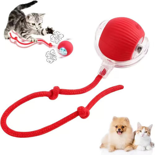 🔥🔥🔥HOT SALE 30% OFF - Interactive Toys Ball Automatic Pet Exercise Toys!