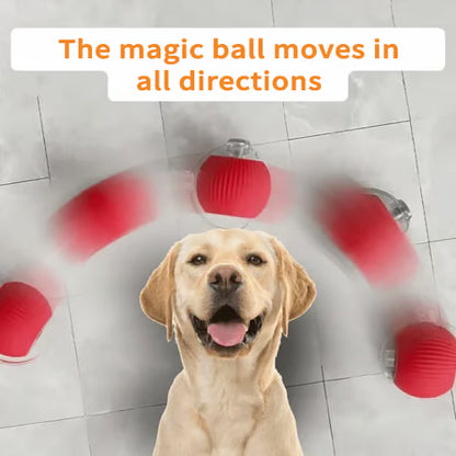 🔥🔥🔥HOT SALE 30% OFF - Interactive Toys Ball Automatic Pet Exercise Toys!