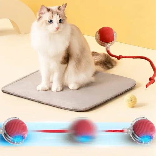 🔥🔥🔥HOT SALE 30% OFF - Interactive Toys Ball Automatic Pet Exercise Toys!