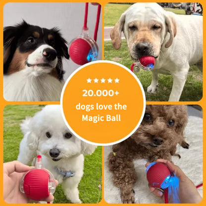 🔥🔥🔥HOT SALE 30% OFF - Interactive Toys Ball Automatic Pet Exercise Toys!