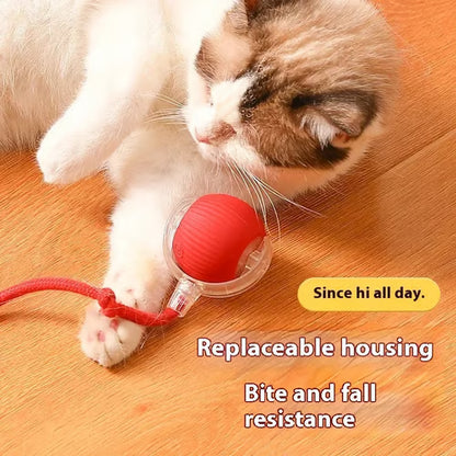 🔥🔥🔥HOT SALE 30% OFF - Interactive Toys Ball Automatic Pet Exercise Toys!