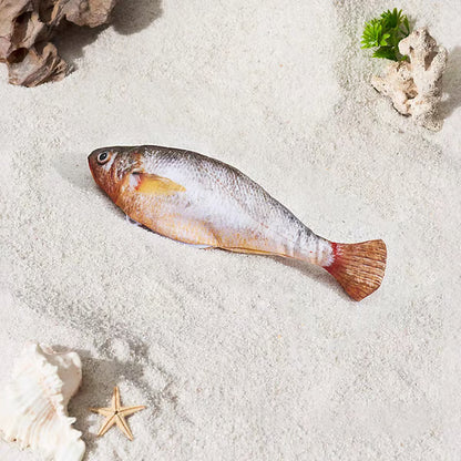 🔥HOT SALE 30% OFF -Realistic Flopping Fish Cat Toys